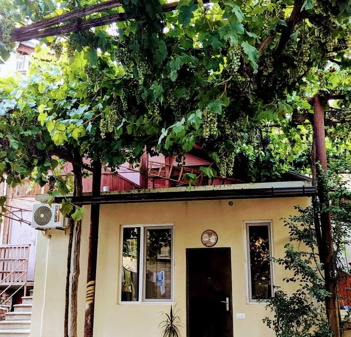 Green Corner تبليسي جورجيا
